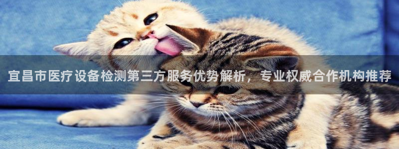 <h1>凯时国际app首页登录入口中文在线</h1>宜昌市医疗设备检测第三方服务